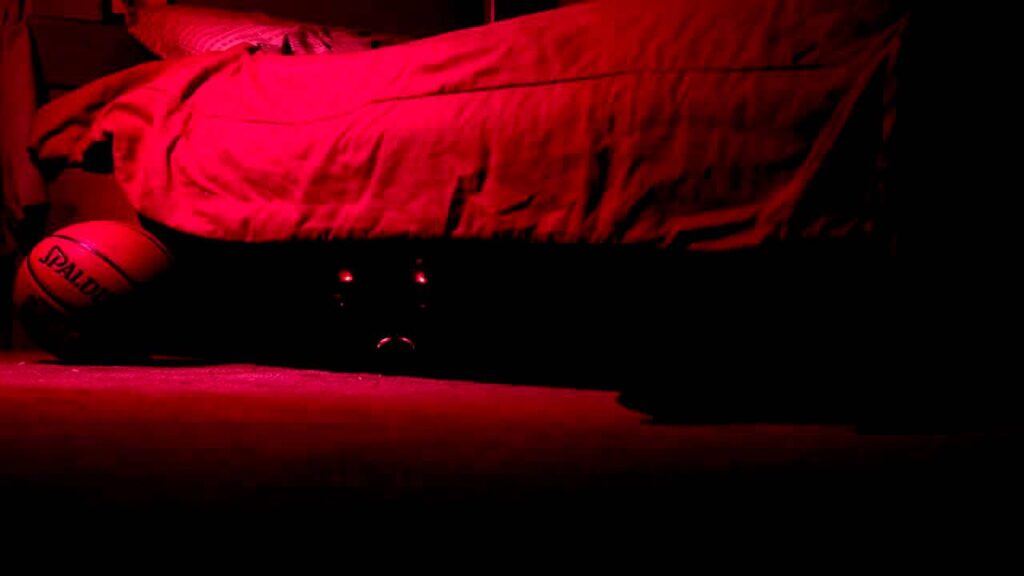 La imagen actual no tiene texto alternativo. El nombre del archivo es: maxresdefault.jpg